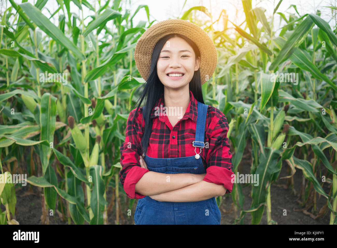 Happy farmer posing in the corn field Stock Photo - Alamy