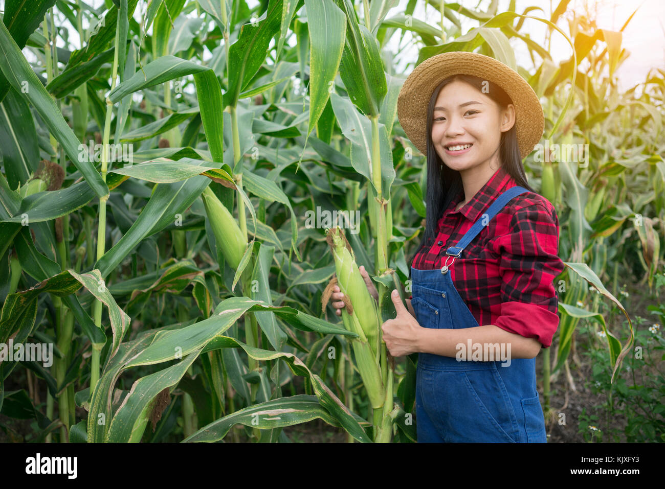 Happy farmer posing in the corn field Stock Photo - Alamy
