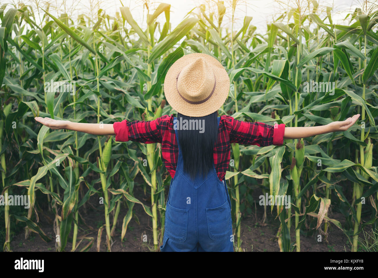 Happy farmer posing in the corn field Stock Photo - Alamy