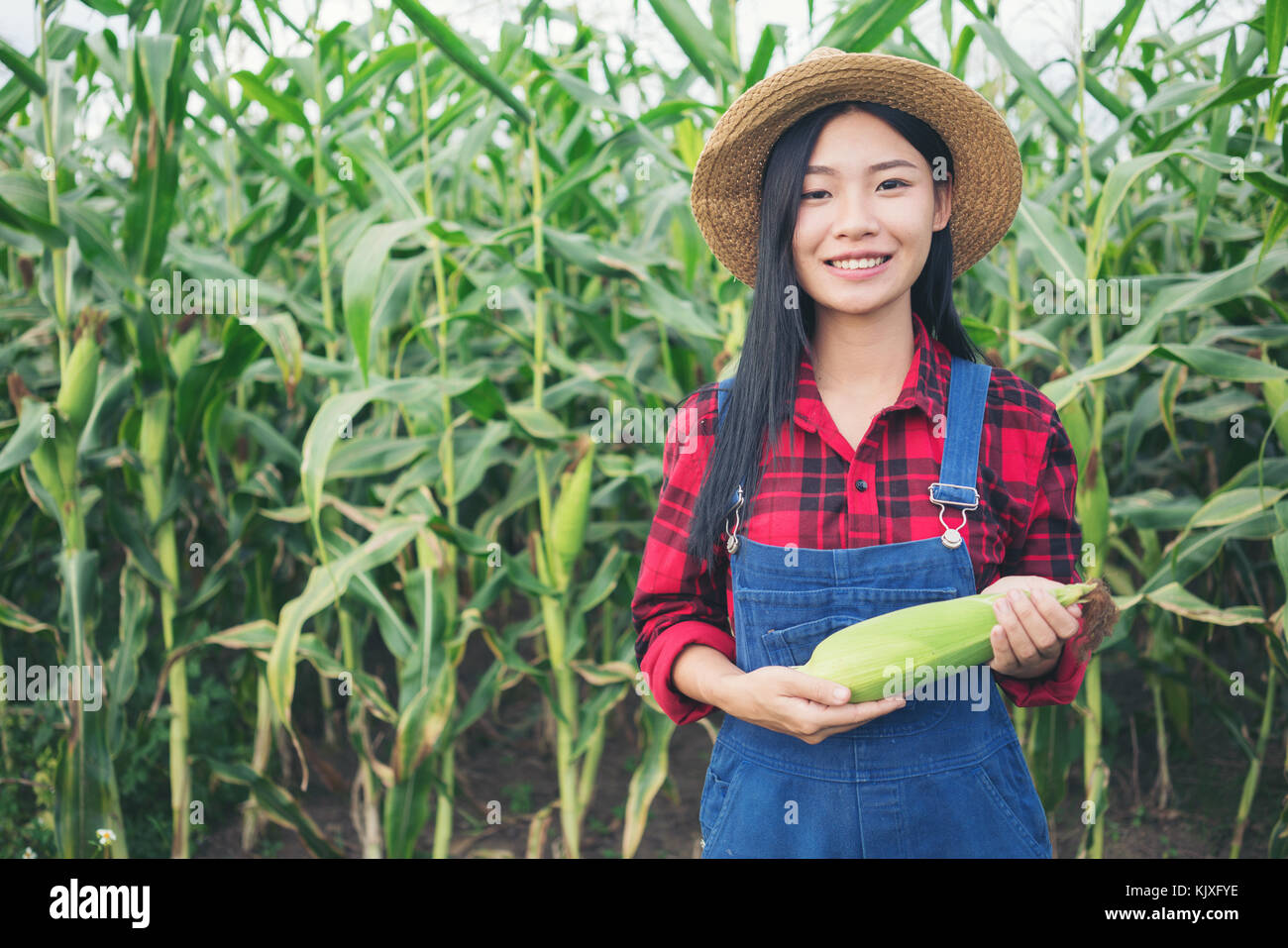 Happy farmer posing in the corn field Stock Photo - Alamy