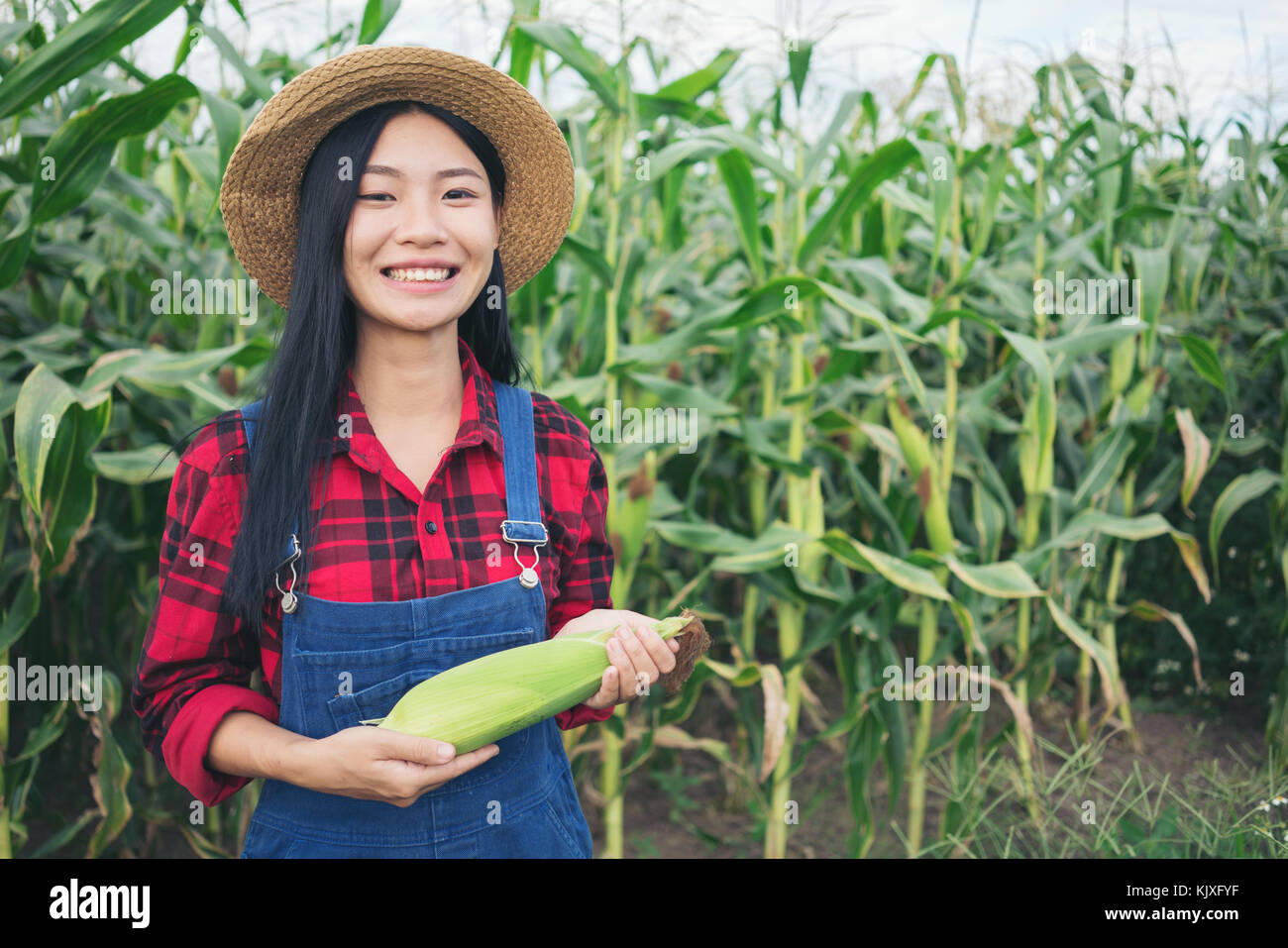 Happy farmer posing in the corn field Stock Photo - Alamy