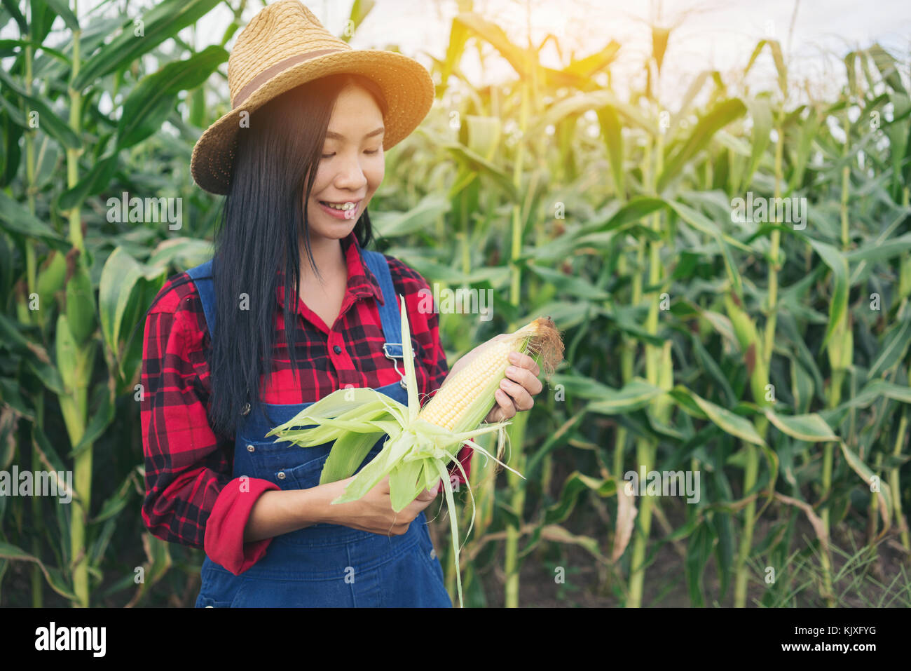 Happy farmer posing in the corn field Stock Photo - Alamy