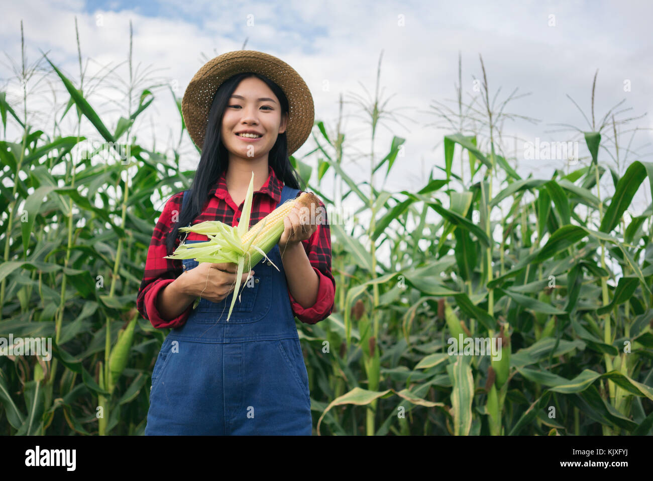Happy farmer posing in the corn field Stock Photo - Alamy