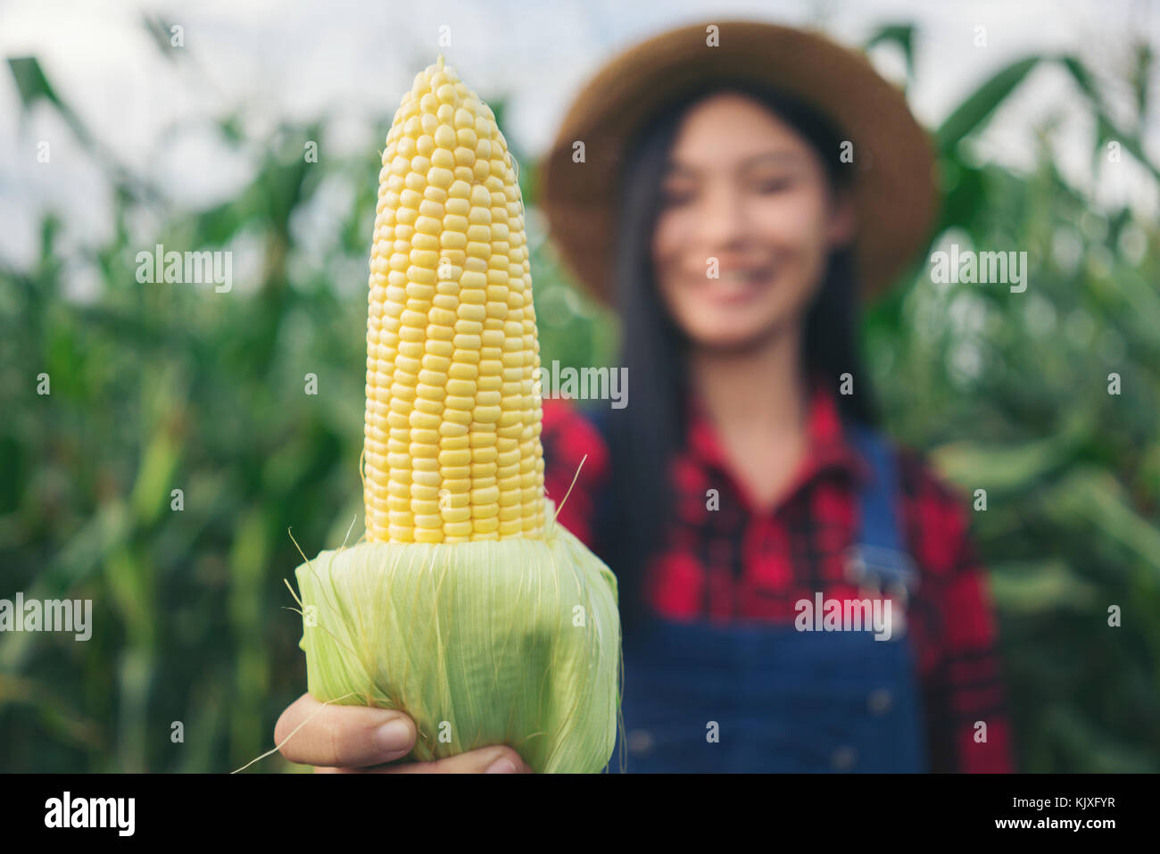 Happy farmer posing in the corn field Stock Photo - Alamy