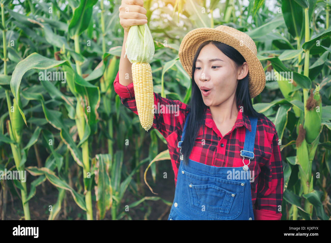 Happy farmer posing in the corn field Stock Photo - Alamy