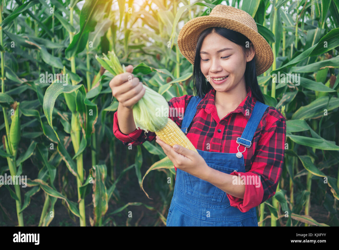 Happy farmer posing in the corn field Stock Photo - Alamy