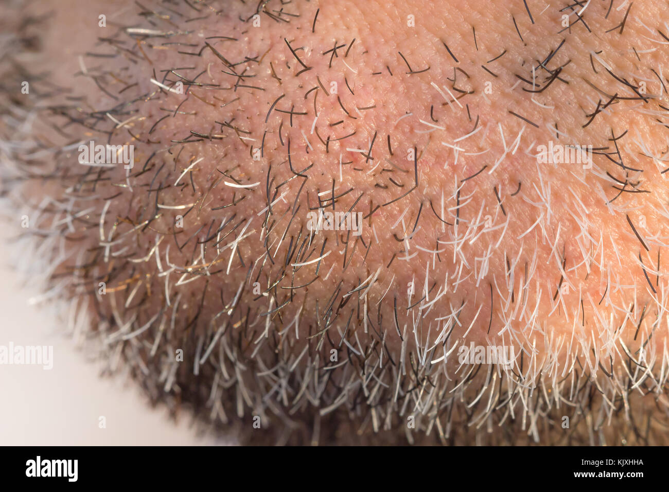 Close up of beard hair man skin background, hair skin  background. Stock Photo