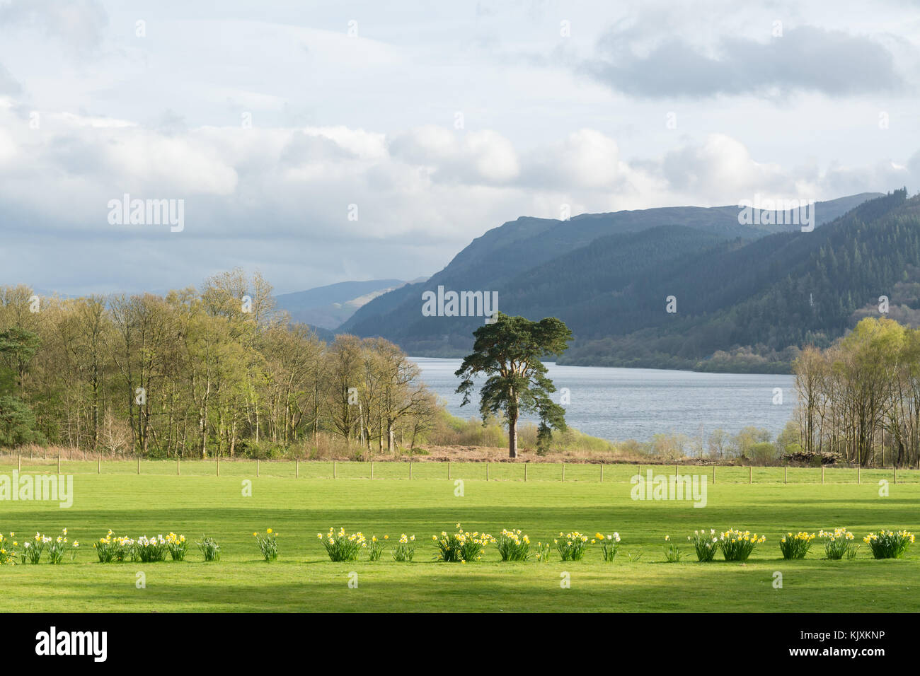 Armathwaite Hall Hotel gardens and view of Bassenthwaite Lake, Lake District Stock Photo