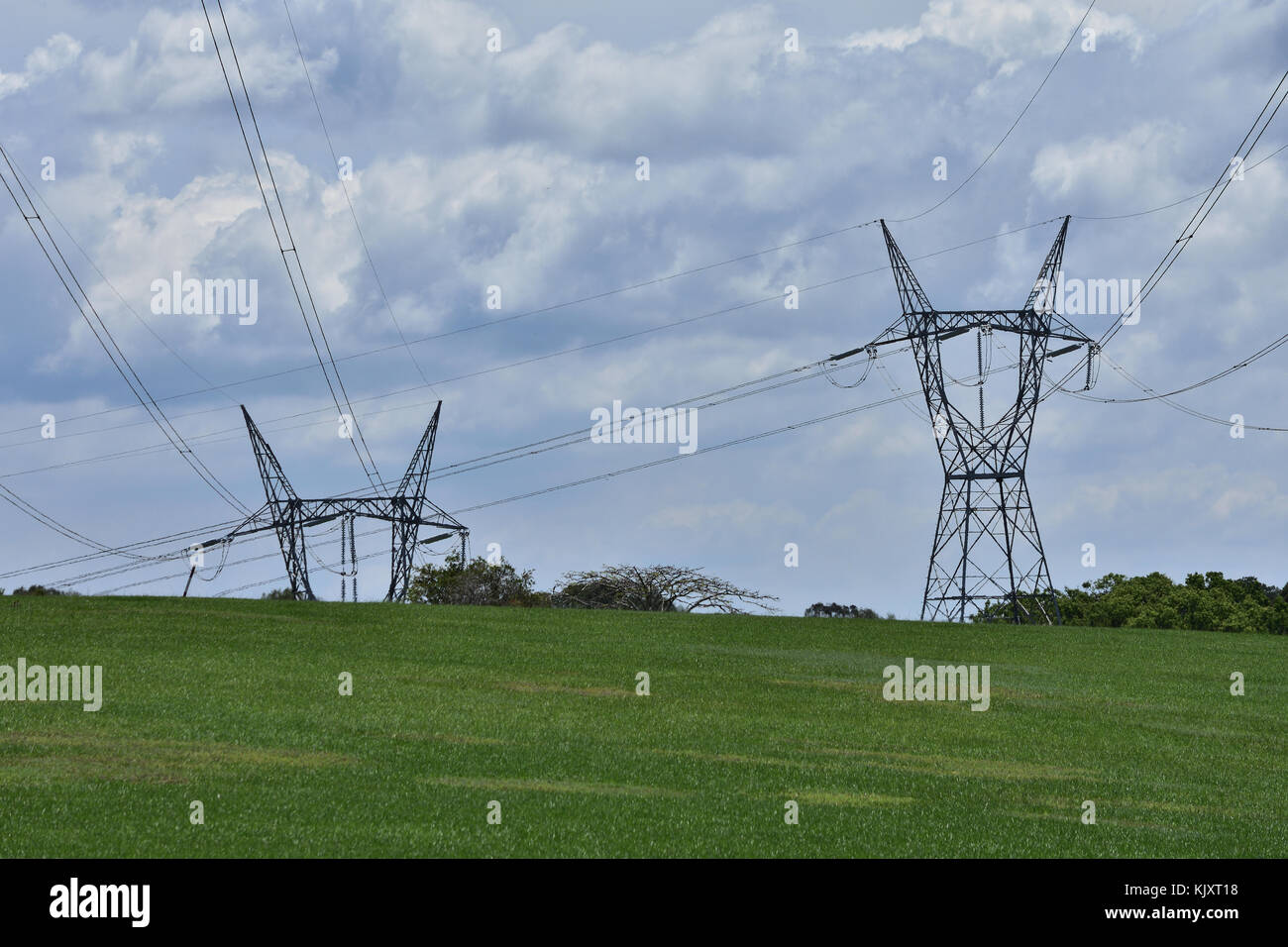 Australian Electricity Powerlines Stock Photo