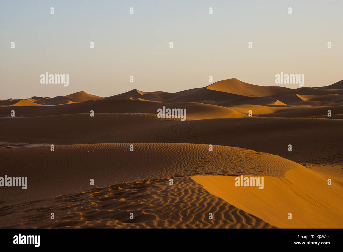 Sahara is the largest desert in the world Stock Photo Alamy