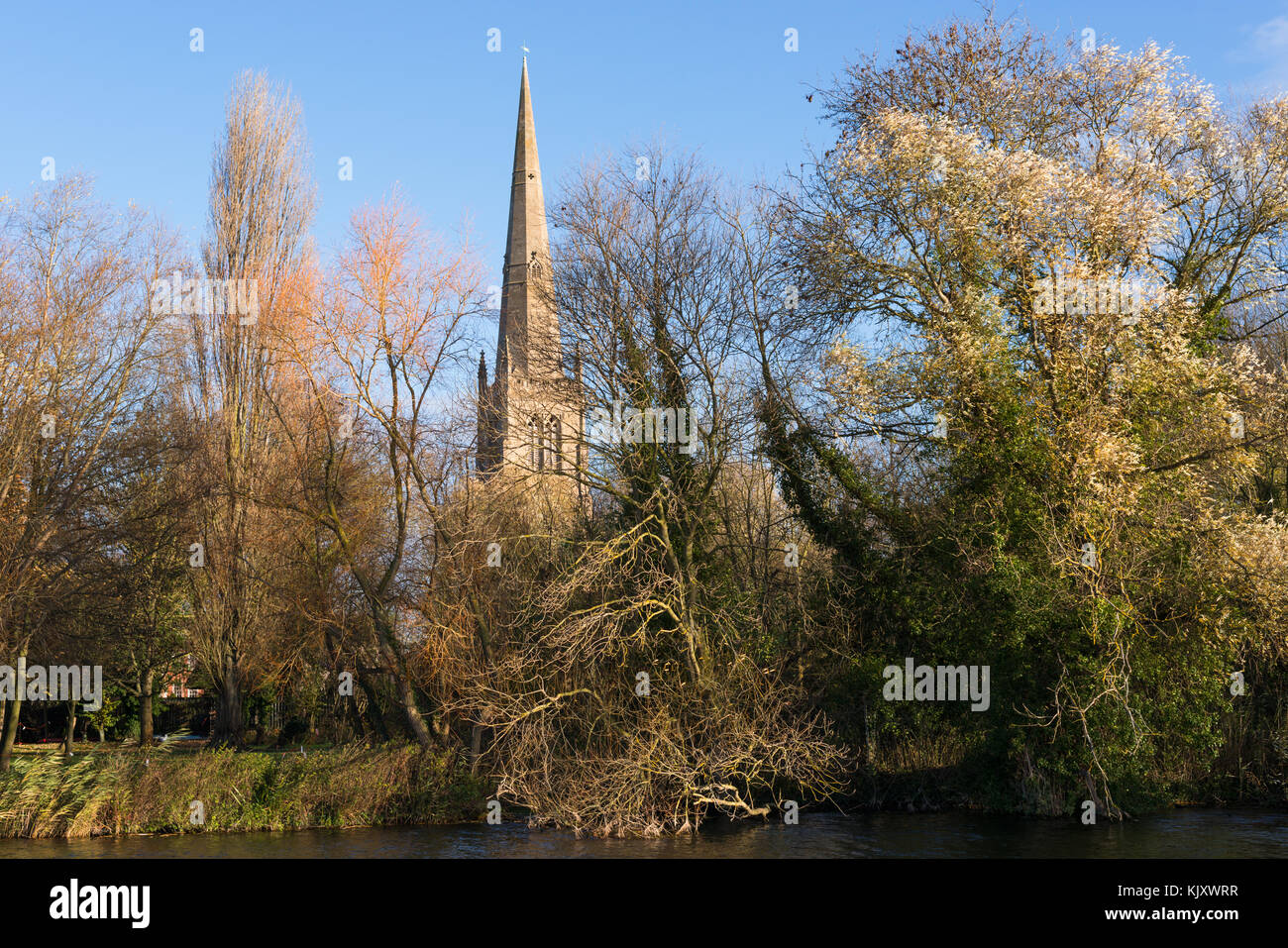 All Saints Church spire on the other side of Great Ouse river in St Ives, seen from Hemingford Grey Meadow, Cambridgeshire, England, UK. Stock Photo