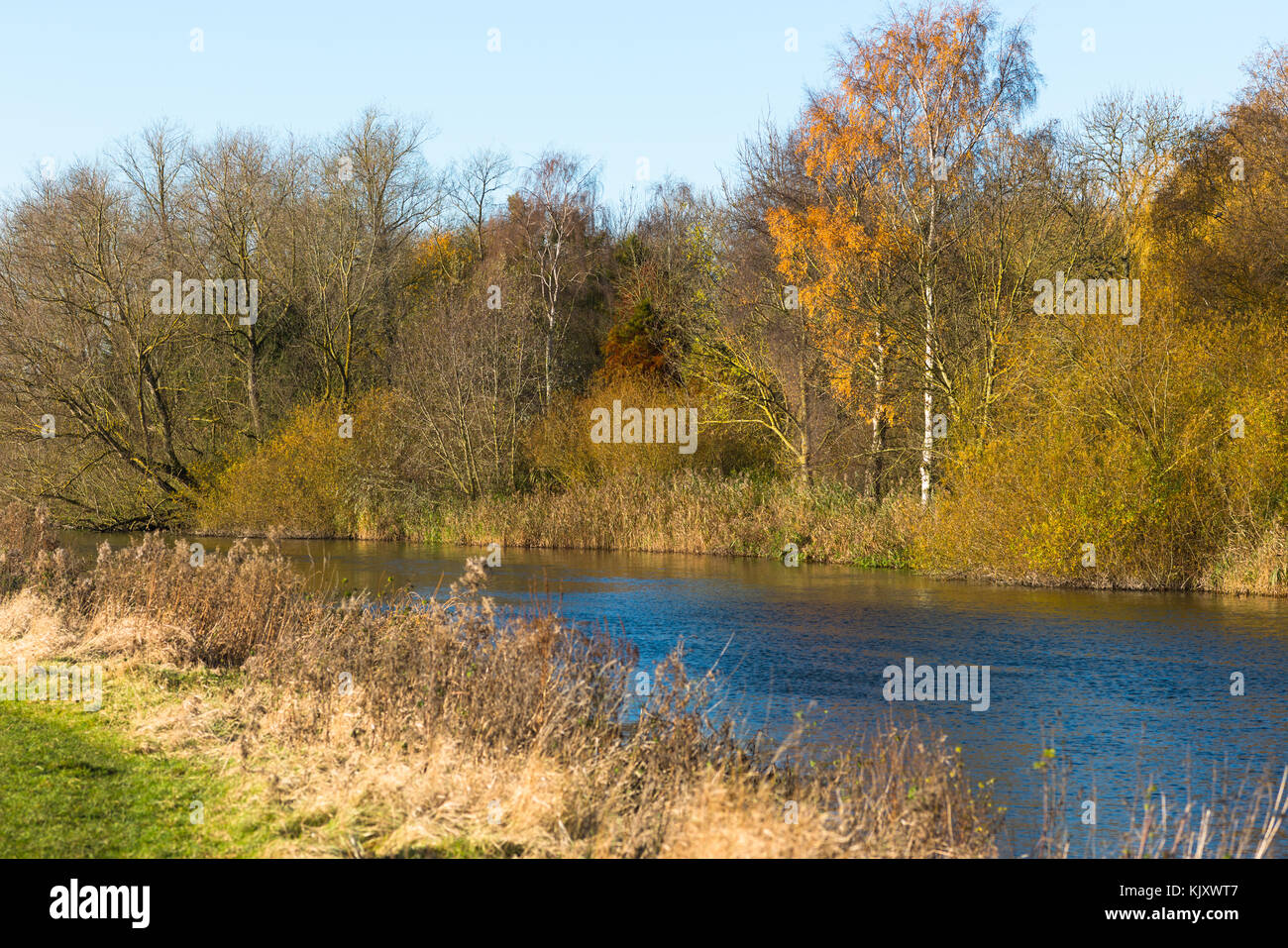 Hemingford Grey Meadow and the Great Ouse river, Cambridgeshire, England, UK. Stock Photo