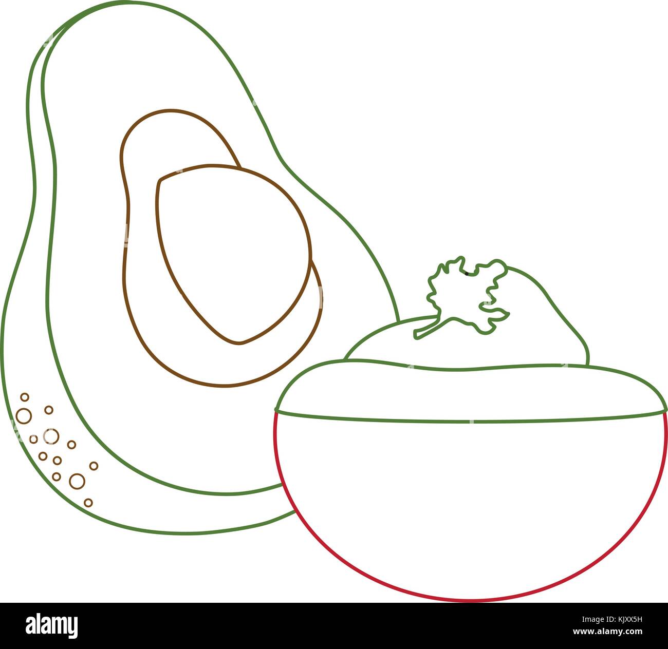 Isolated avocado design Stock Vector Image & Art - Alamy