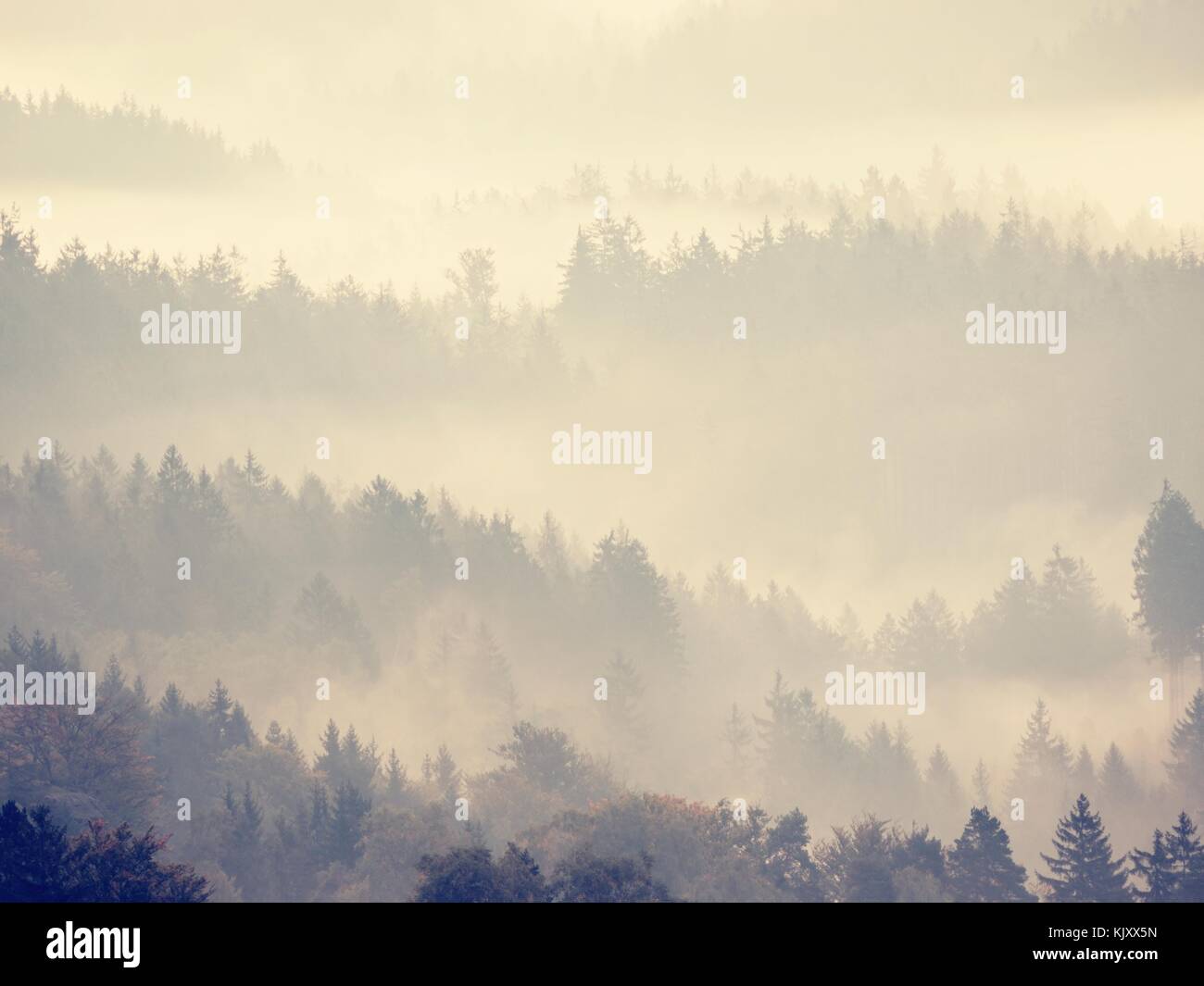 Heavy Mist Magnificent heavy mist in landscape. Autumn creamy fog in landscape ...