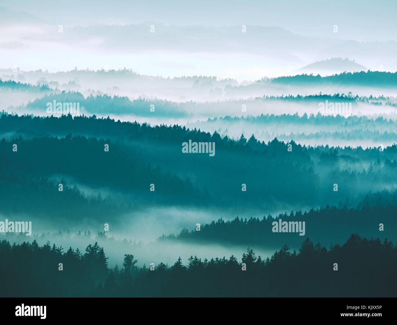 Autumn sunrise. Deep forest in a beautiful hilly landscape within inversion weather. Treetops increased from foggy background. Vivid effect. Stock Photo