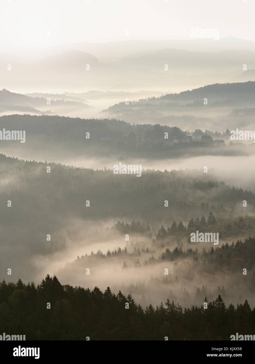 Heavy Mist Creme point hi-res stock photography and images - Alamy