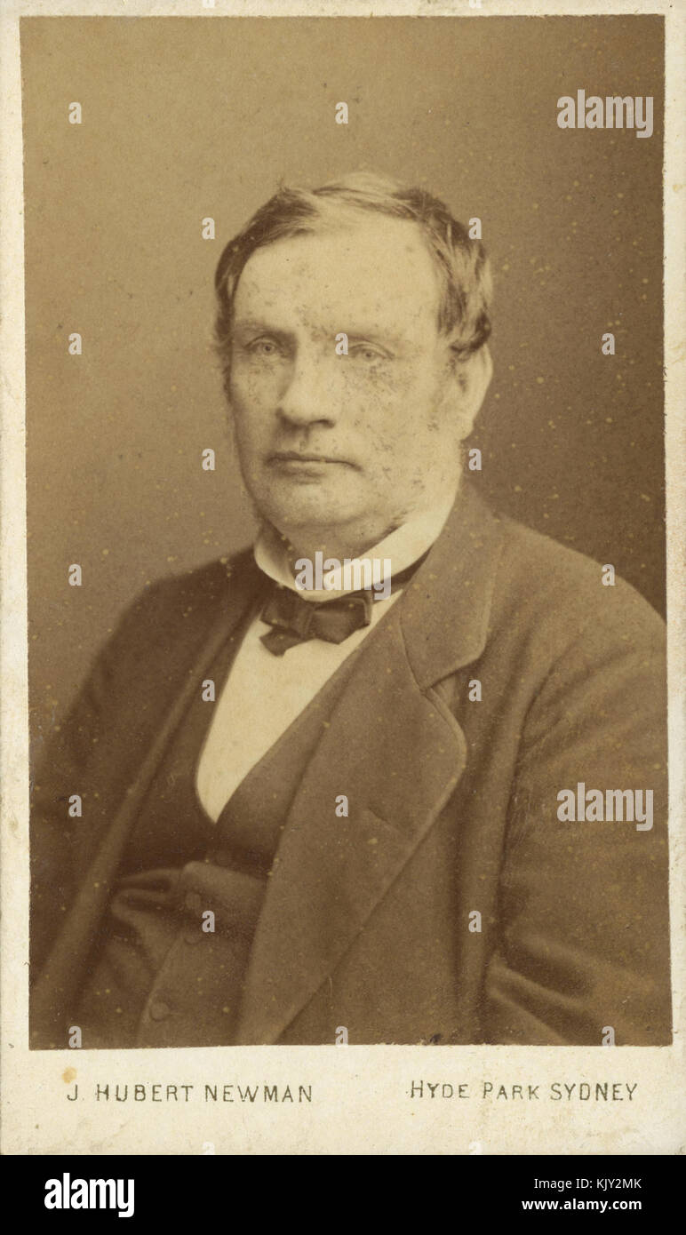 Donald McLean, 1874 Stock Photo
