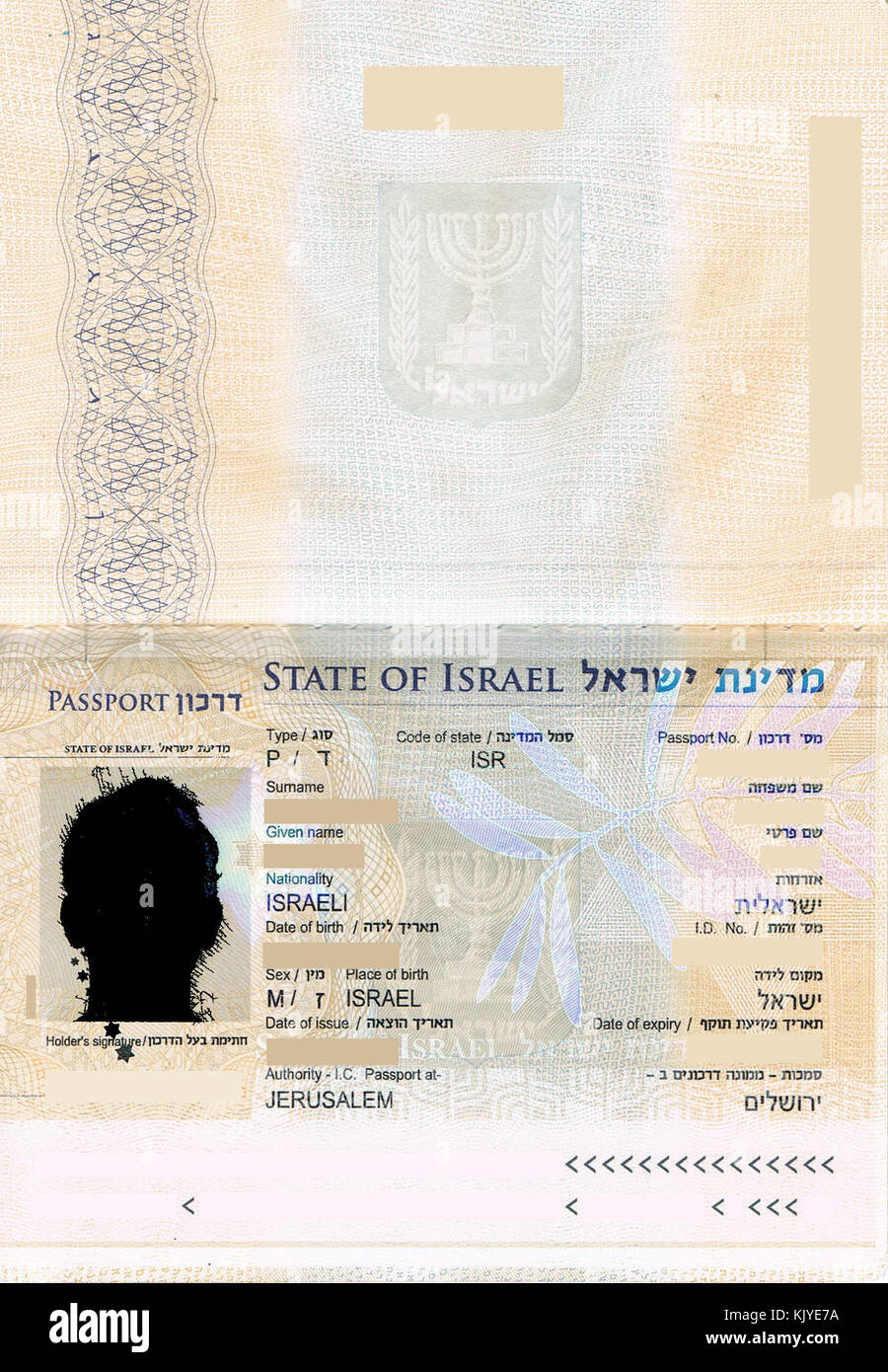Israel Biometric Passport Stock Photo Alamy