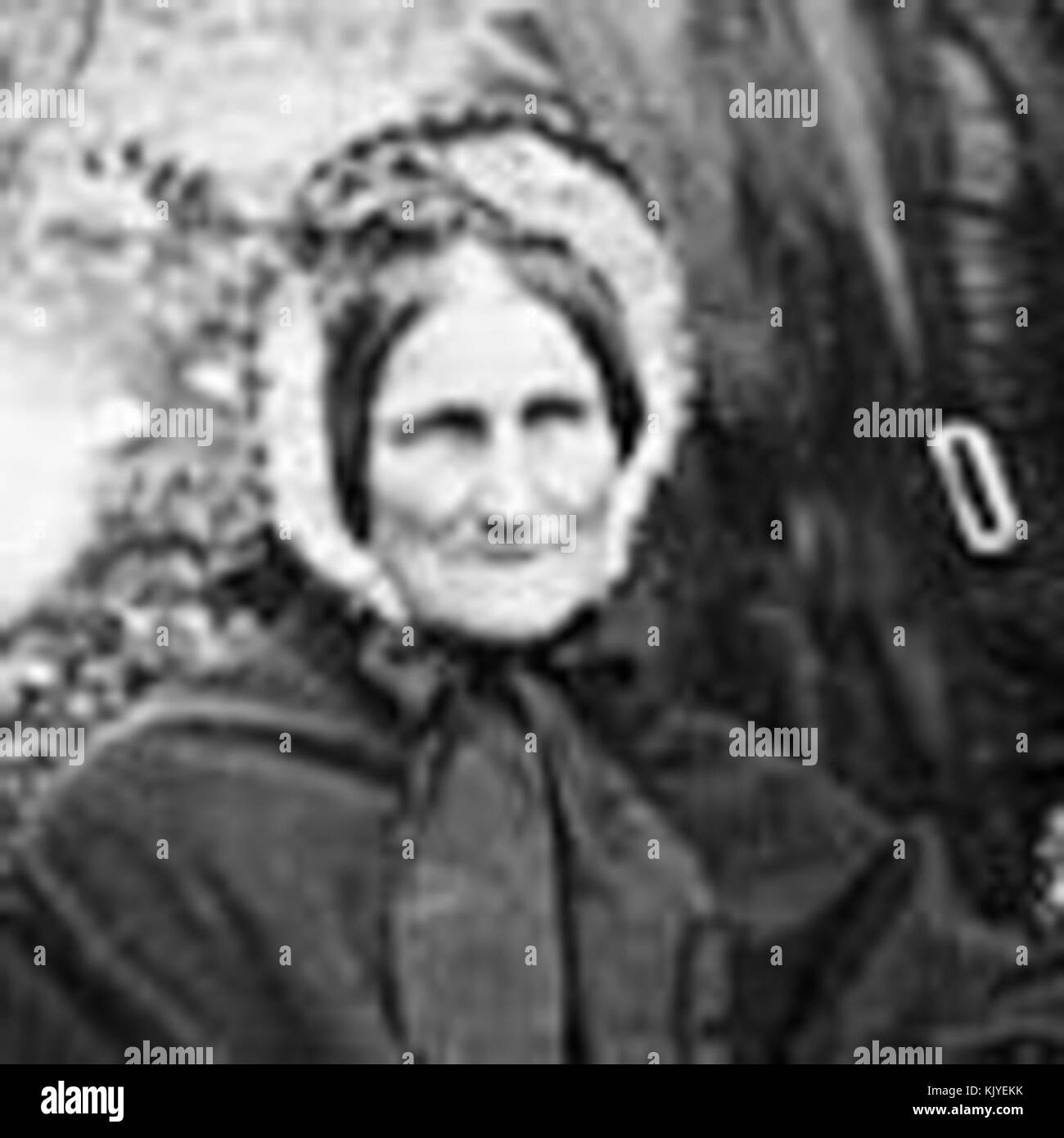 Jane Williams High Resolution Stock Photography and Images - Alamy