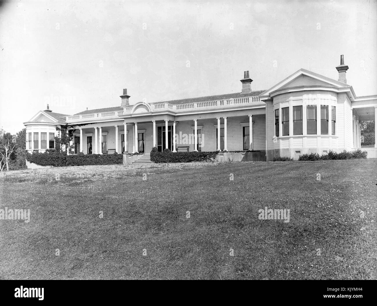 Bushy Park Homestead, 1919 Stock Photo Alamy