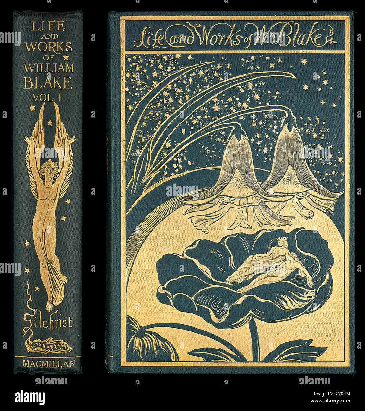 одна композиция книга. композиция обложки книги. казарин ю. книга the wild garden. обложка для книги.