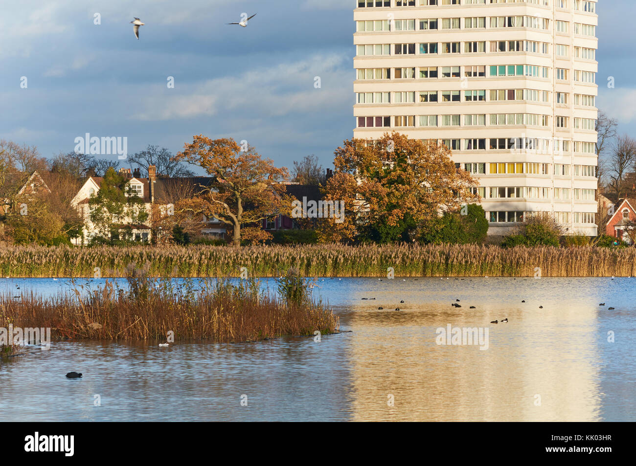 Tower block at Woodberry Down, North London UK, overlooking Woodberry Wetlands Stock Photo