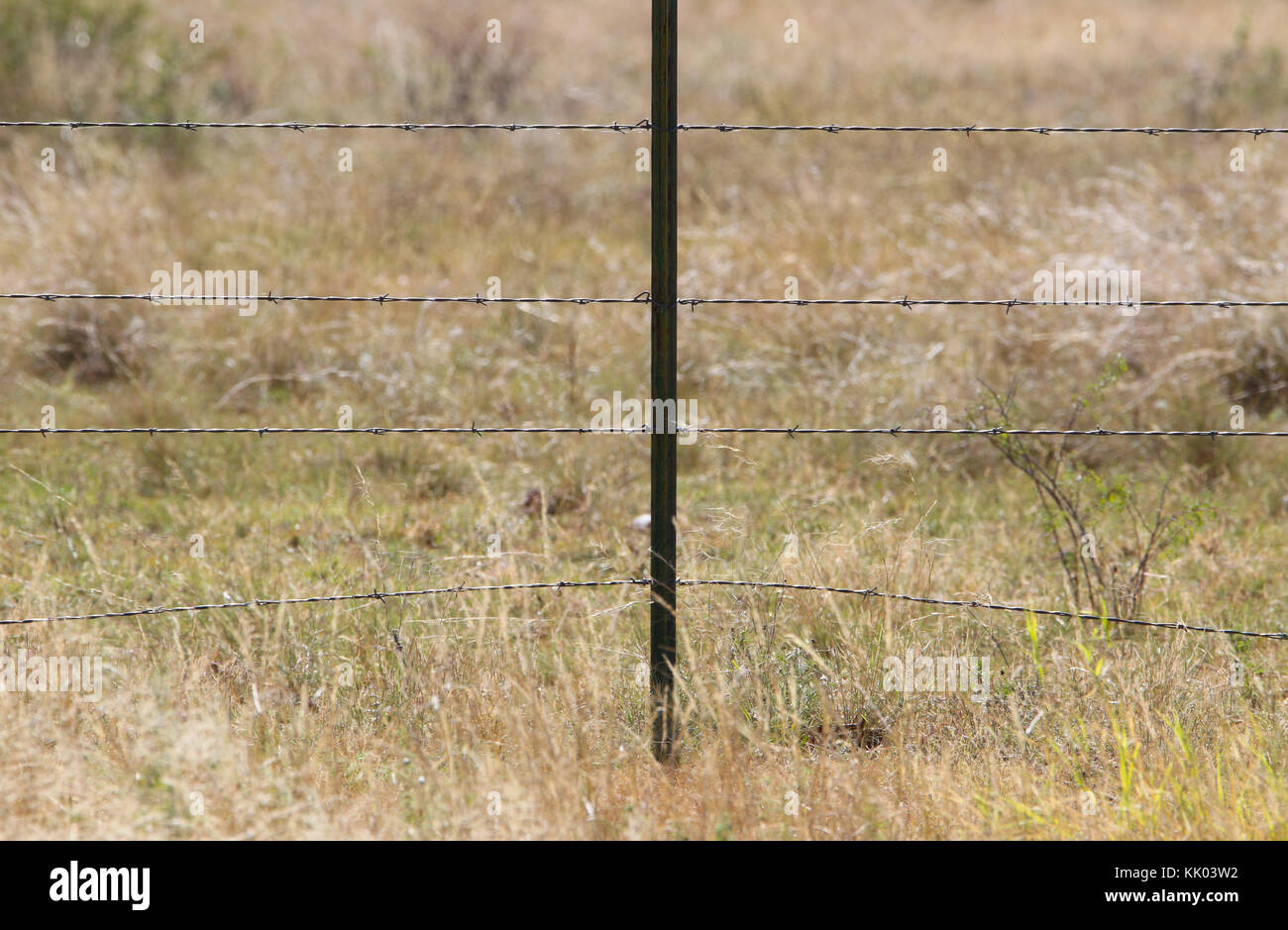 Barbed Wire Fence Stock Photo