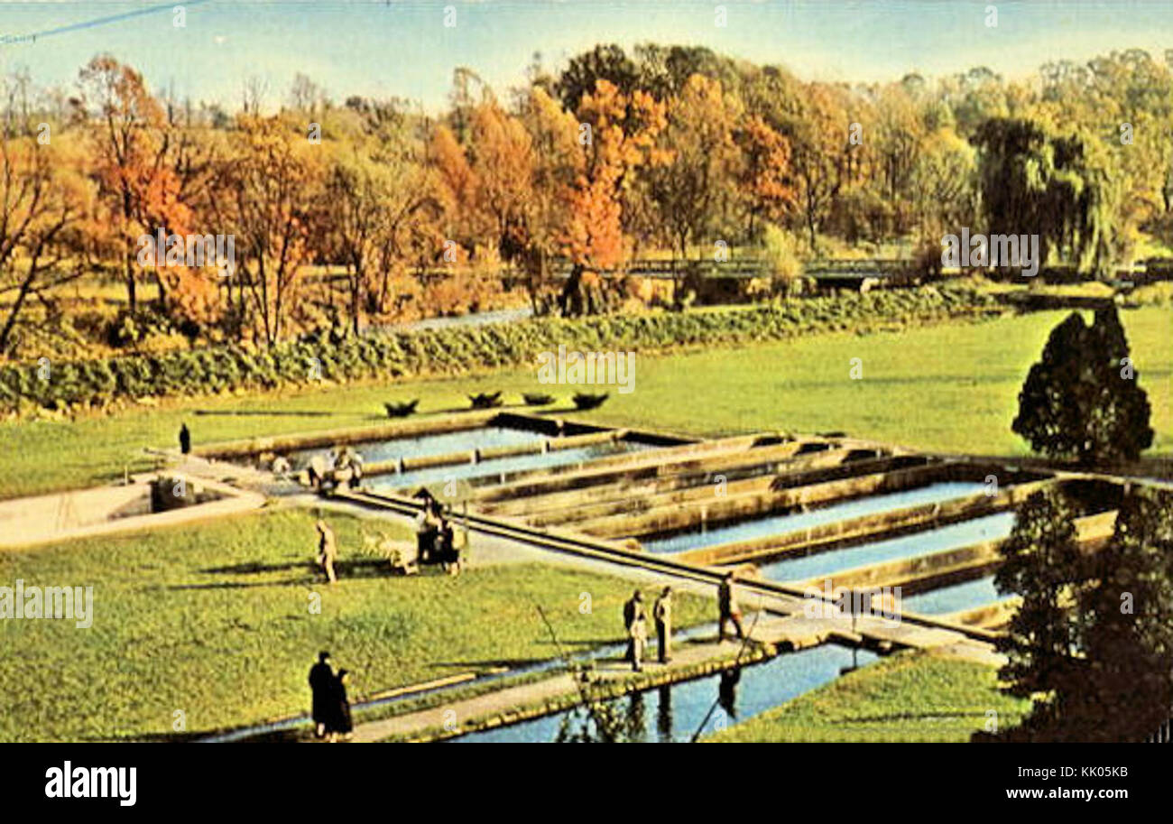 1930 Allentown Fish Hatchery Stock Photo Alamy