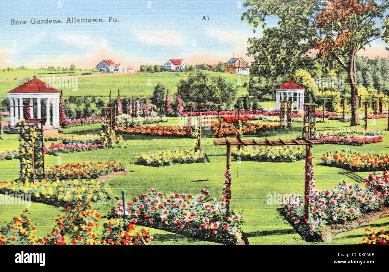 1935 Allentown Rose Garden Stock Photo Alamy