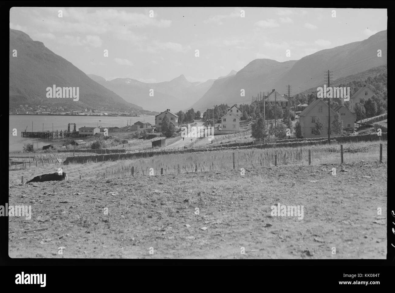 Ankenes hi-res stock photography and images - Alamy