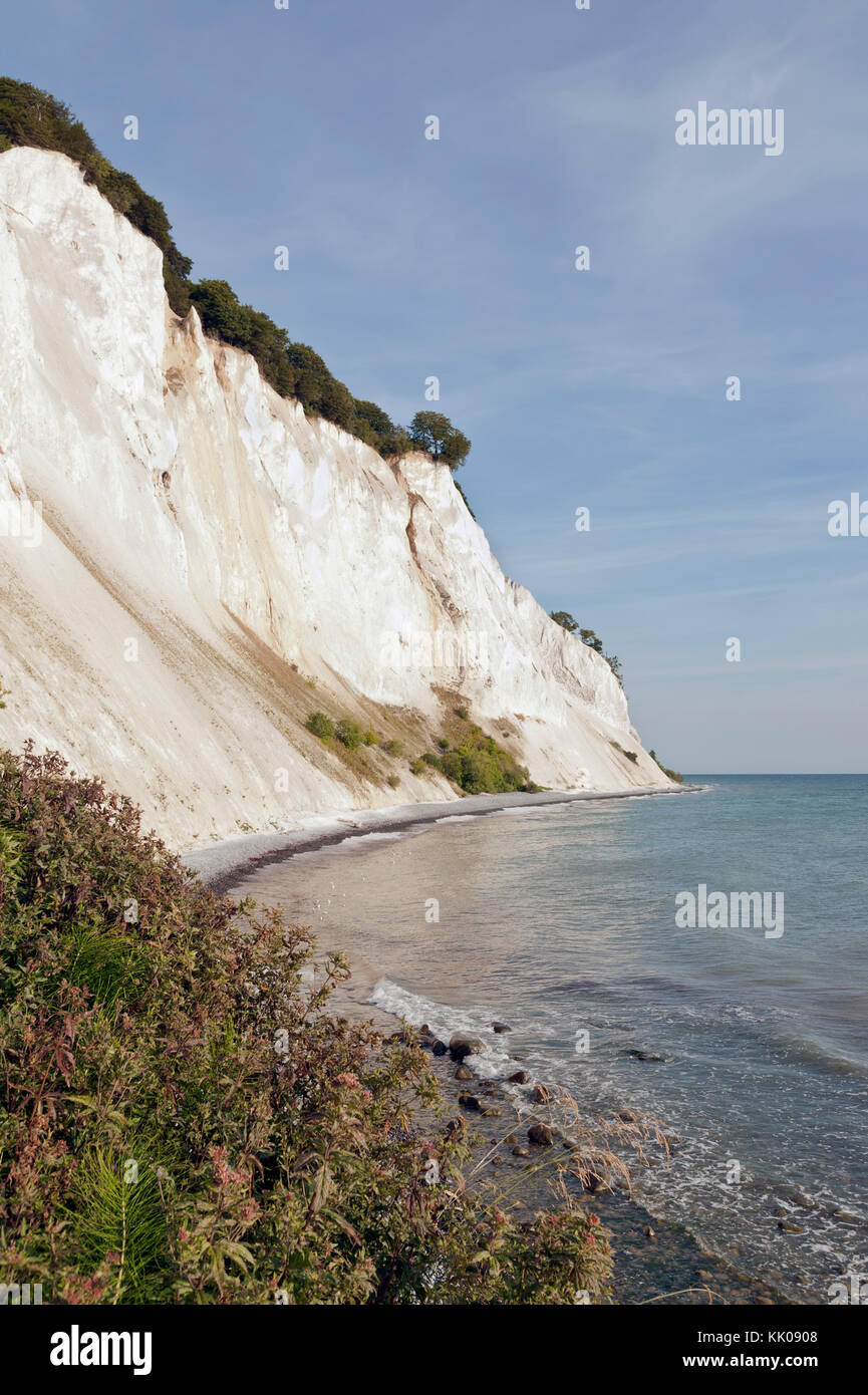 Møns Klint, the steep chalk cliffs up to 120m above sea on the eastern