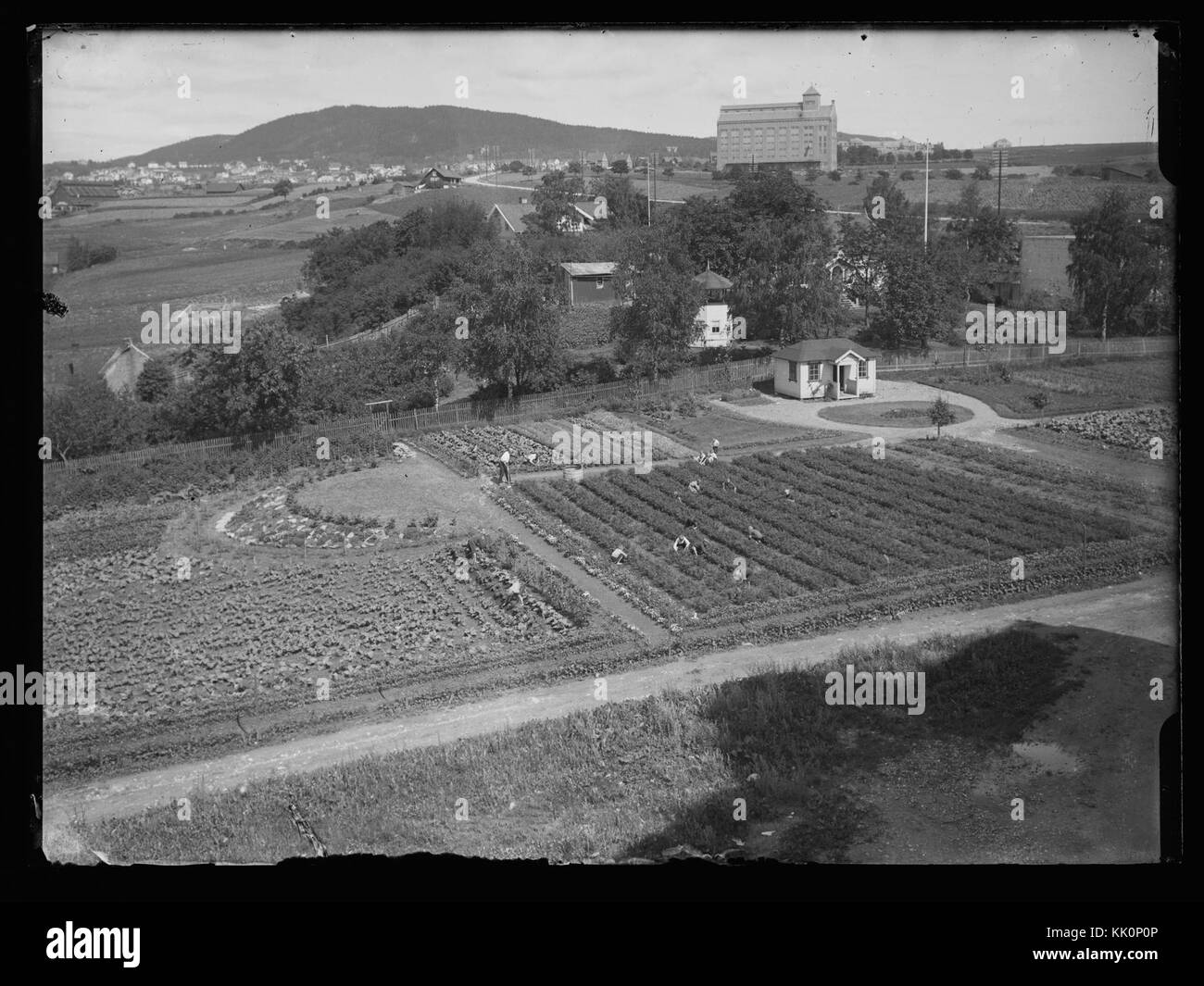 10141 Black and White Stock Photos & Images - Alamy