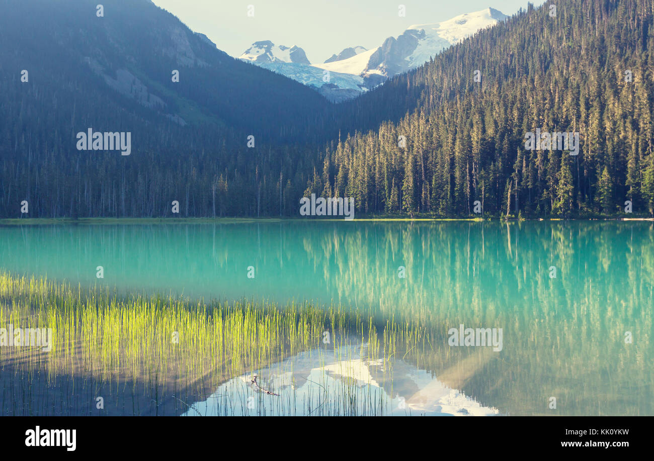 Beautiful Joffre lake in Canada Stock Photo - Alamy