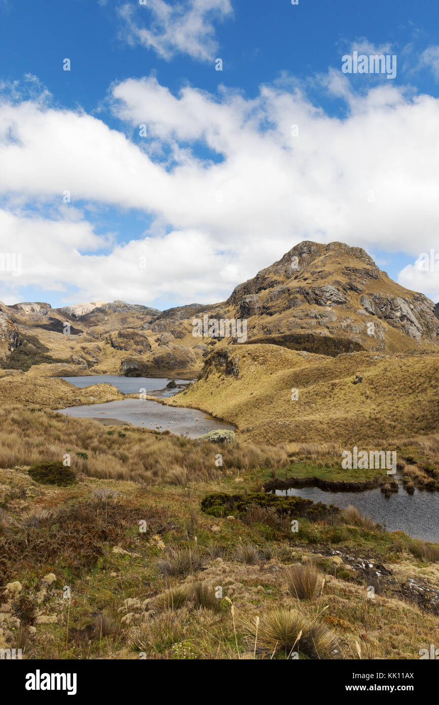 Ecuador Landscape - Cajas National Park ( Parque Nacional Cajas ), Southern Highlands, Ecuador, South America Stock Photo