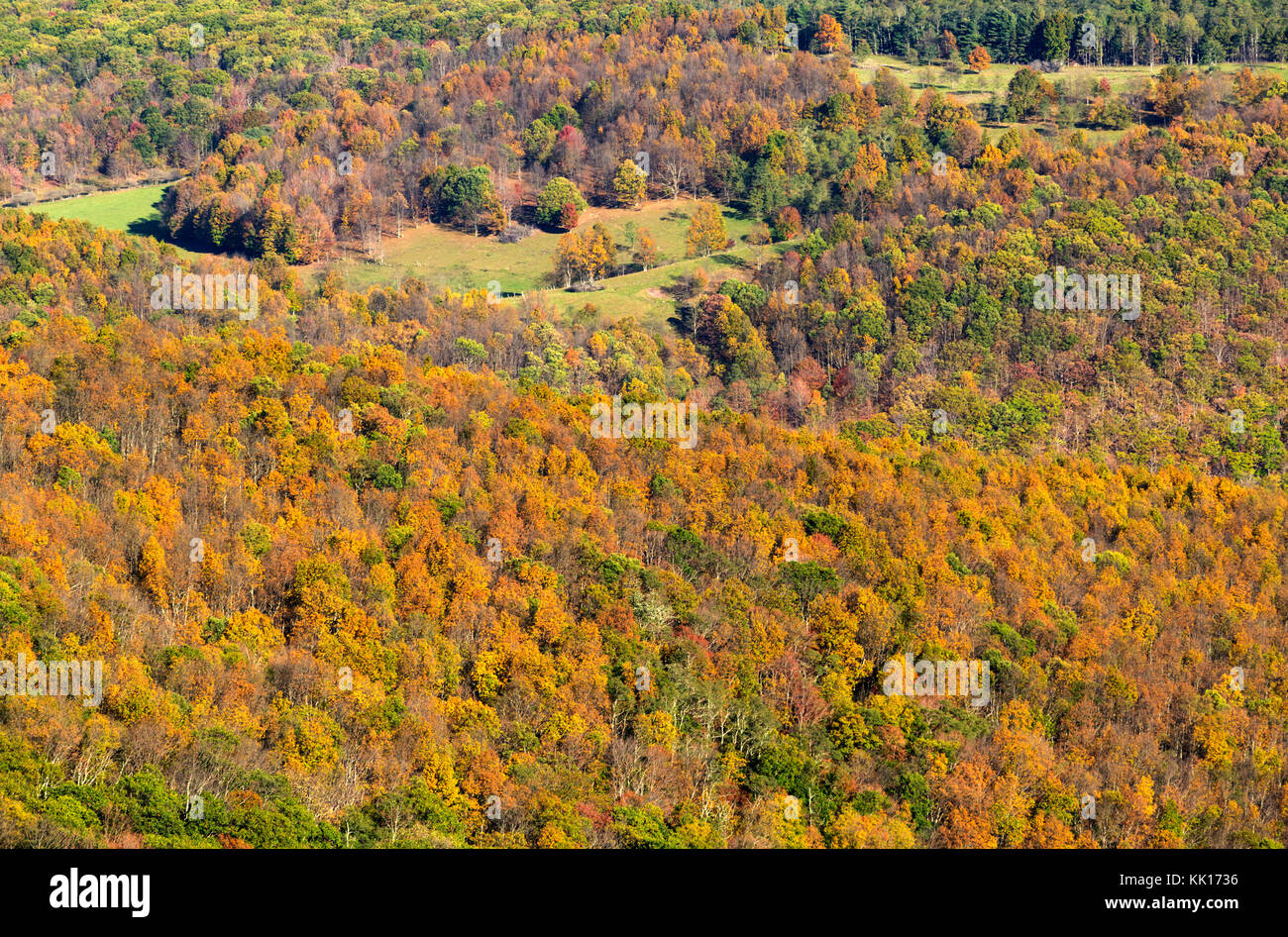 From the top of Spruce Knob highest point of West Virginia looking