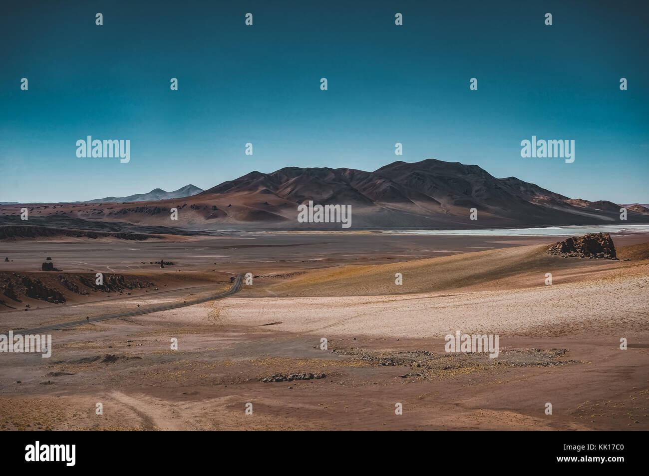 Atacama desert ecosystem hi-res stock photography and images - Alamy