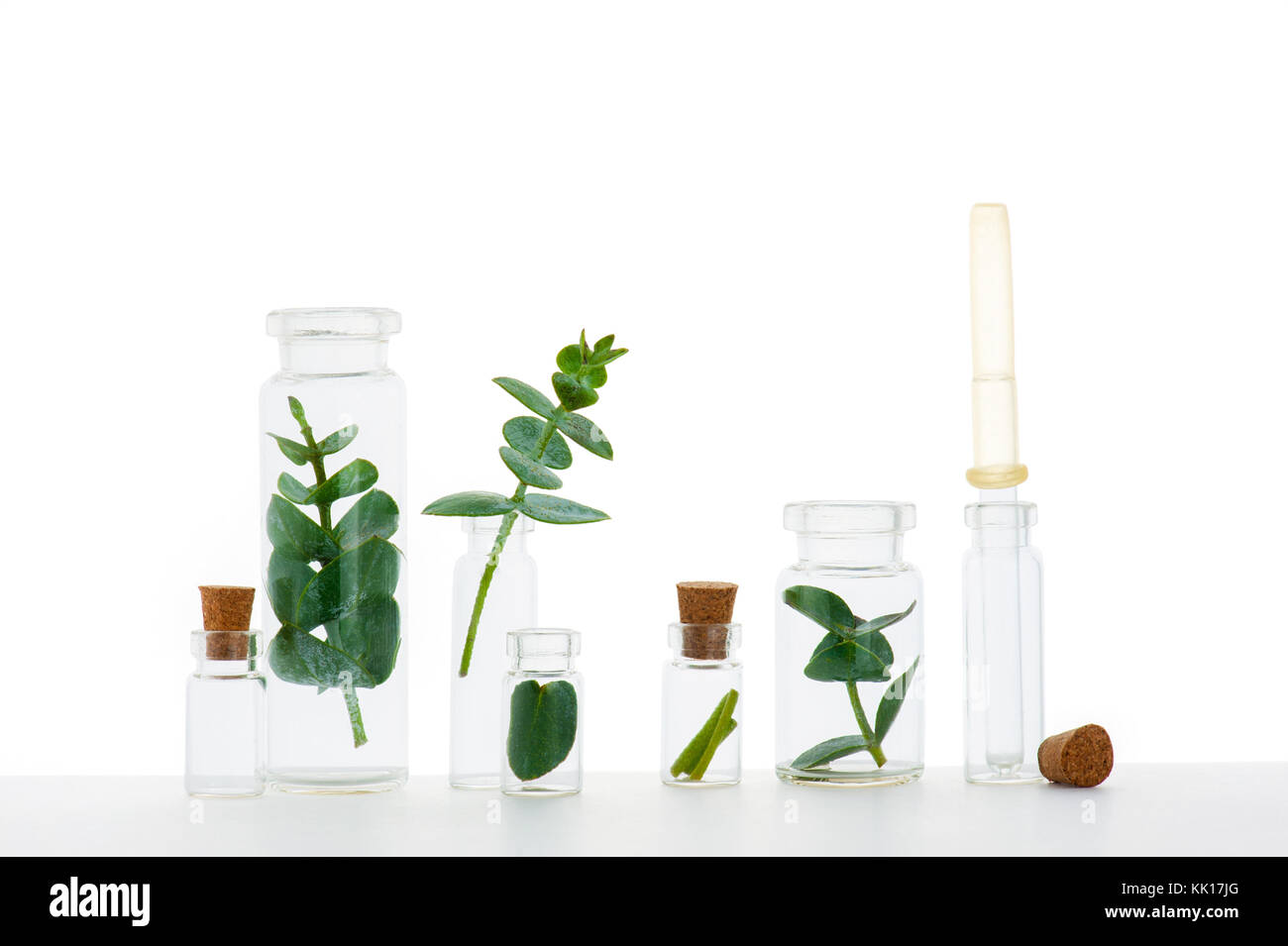 Branches of plants in the medicine bottles on the white background Stock Photo