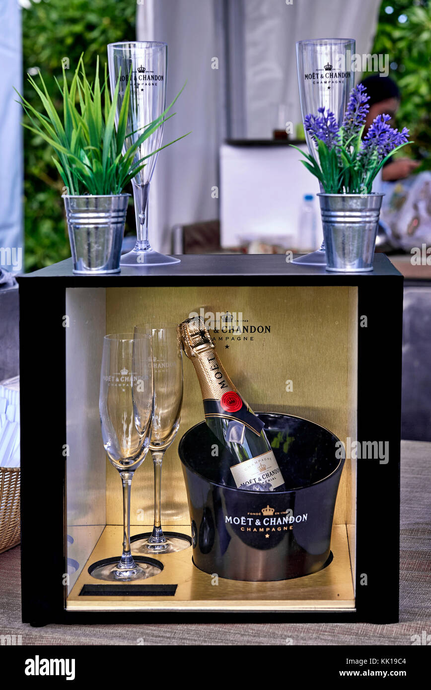 Moet & Chandon champagne cellar - Stock Image - C014/5821 - Science Photo  Library