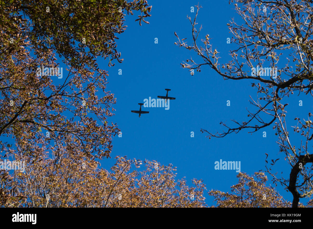 Fohnsdorf, Austria - 05.10.2017: Two training aircraft of the Austrian air force framed by trees Stock Photo