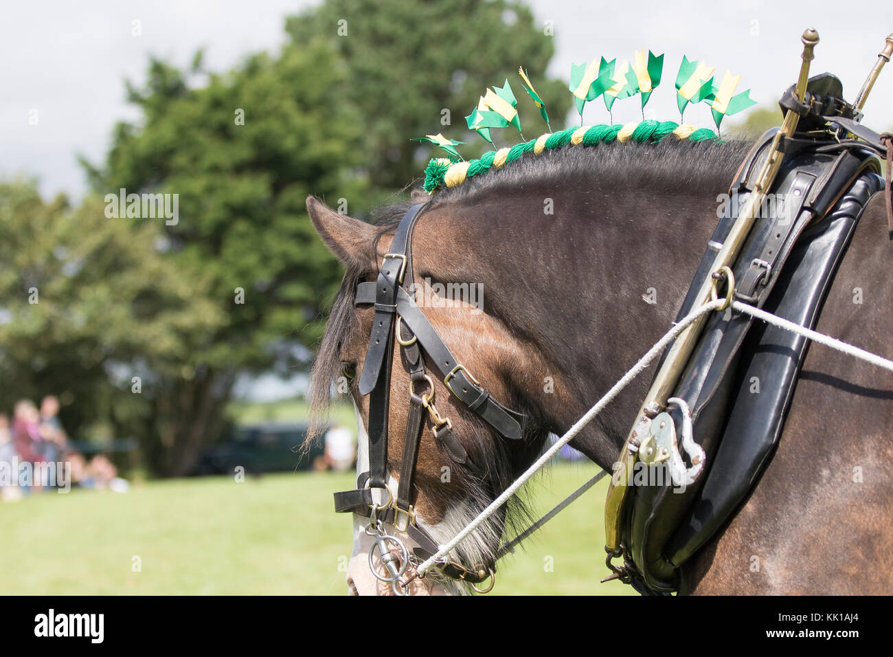 Old Horse Tack High Resolution Stock Photography and Images - Alamy
