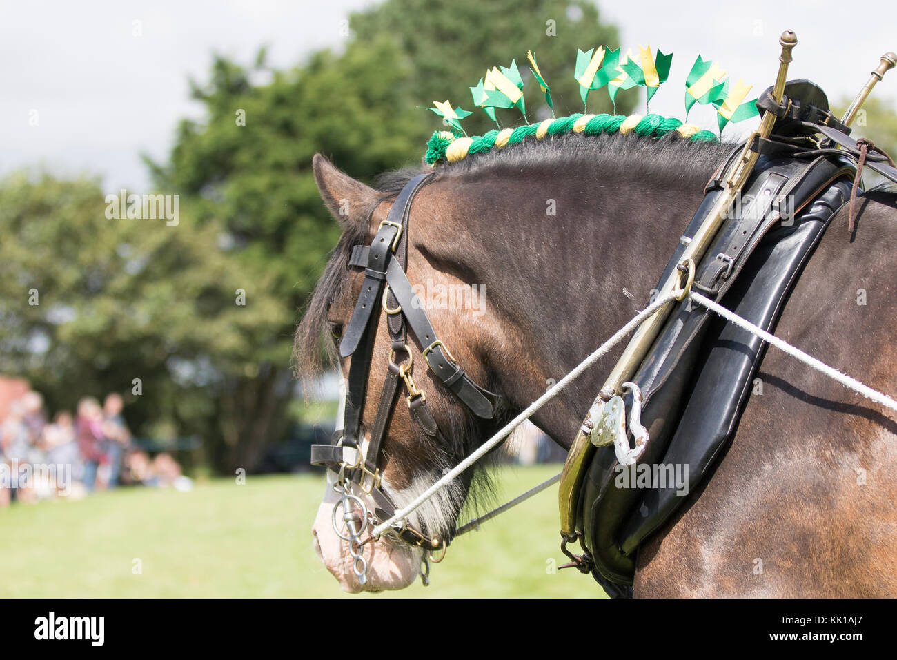 Old Horse Tack High Resolution Stock Photography and Images - Alamy