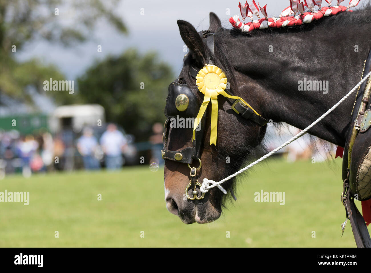 Old Horse Tack High Resolution Stock Photography and Images - Alamy
