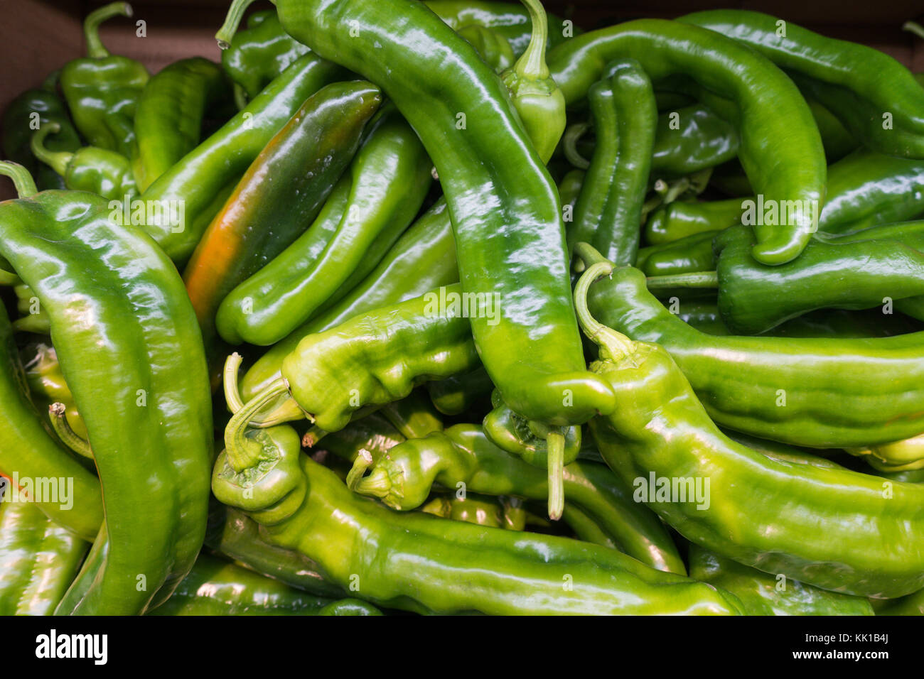 long green hot chilli peppers in a bunch Stock Photo - Alamy