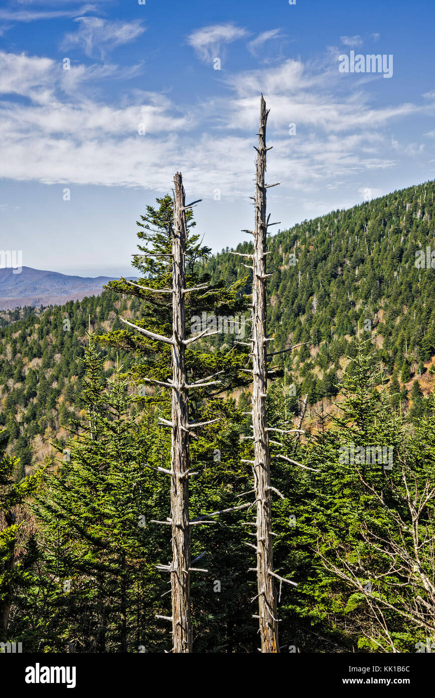Great Smoky Mountains National Park. Stock Photo