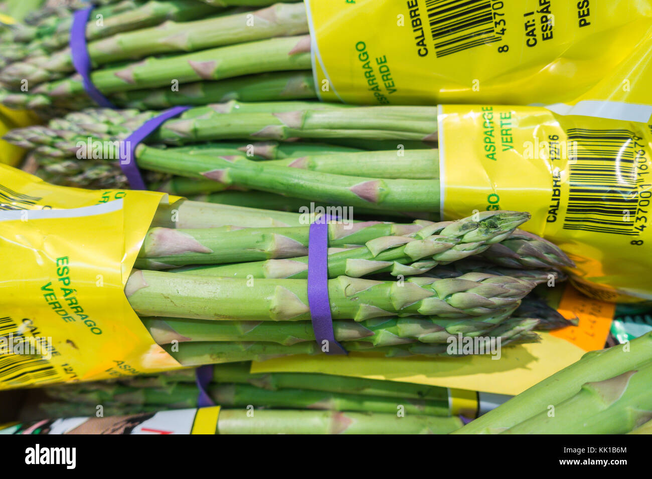 pre-packed fresh asparagus bunches with purple rubber bands in Spain