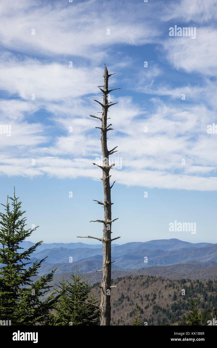 Great Smoky Mountains National Park. Stock Photo