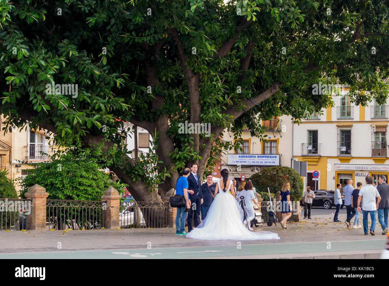 A bride and groom posing for wedding photographs on the Triana bridge, Seville, Andalucia, Spain. Stock Photo
