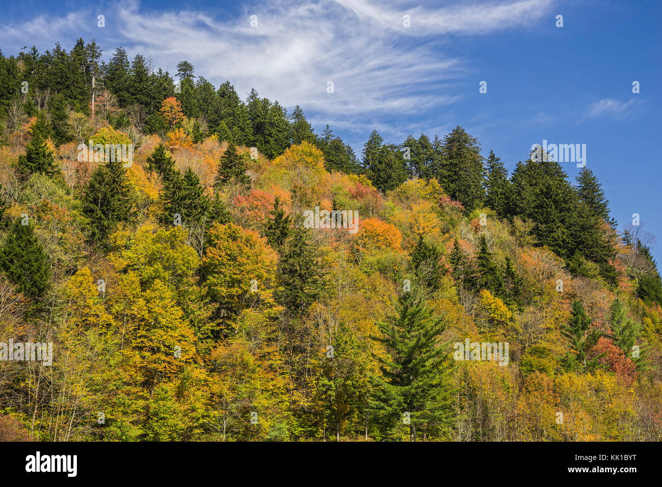 Great Smoky Mountains National Park Stock Photo Alamy