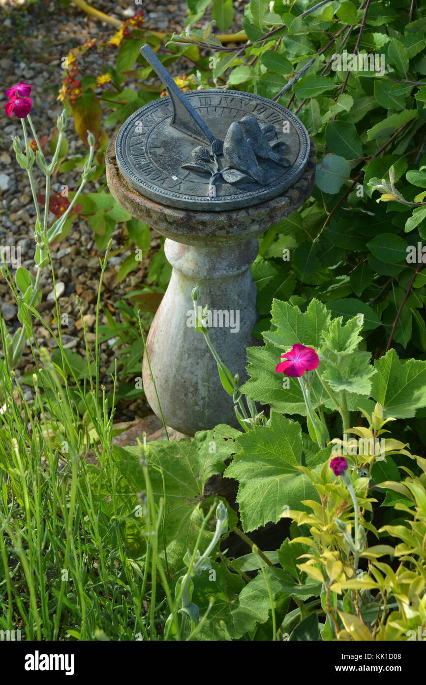 Sundial amid flowers Stock Photo Alamy