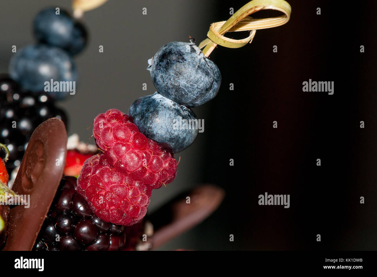 Blackthorn Blackberry Blueberry And Raspberry Fruit In A Brochette 